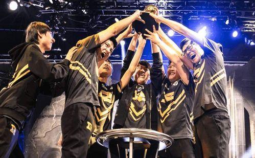 rng夏季赛最新爆料,神秘爆料揭秘战队备战策略